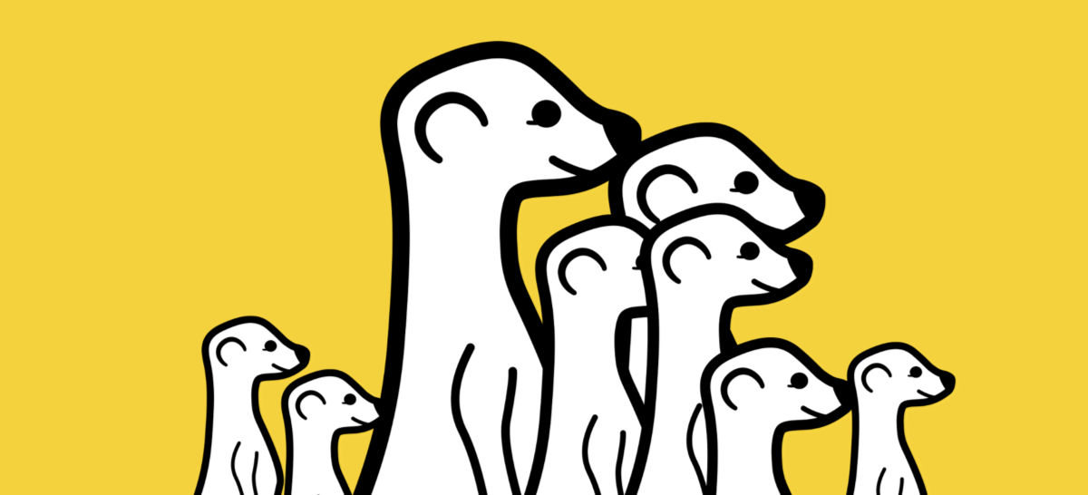 On Meerkat's Shift in Focus and the Challenges Facing Live-Streaming | Social Media Today